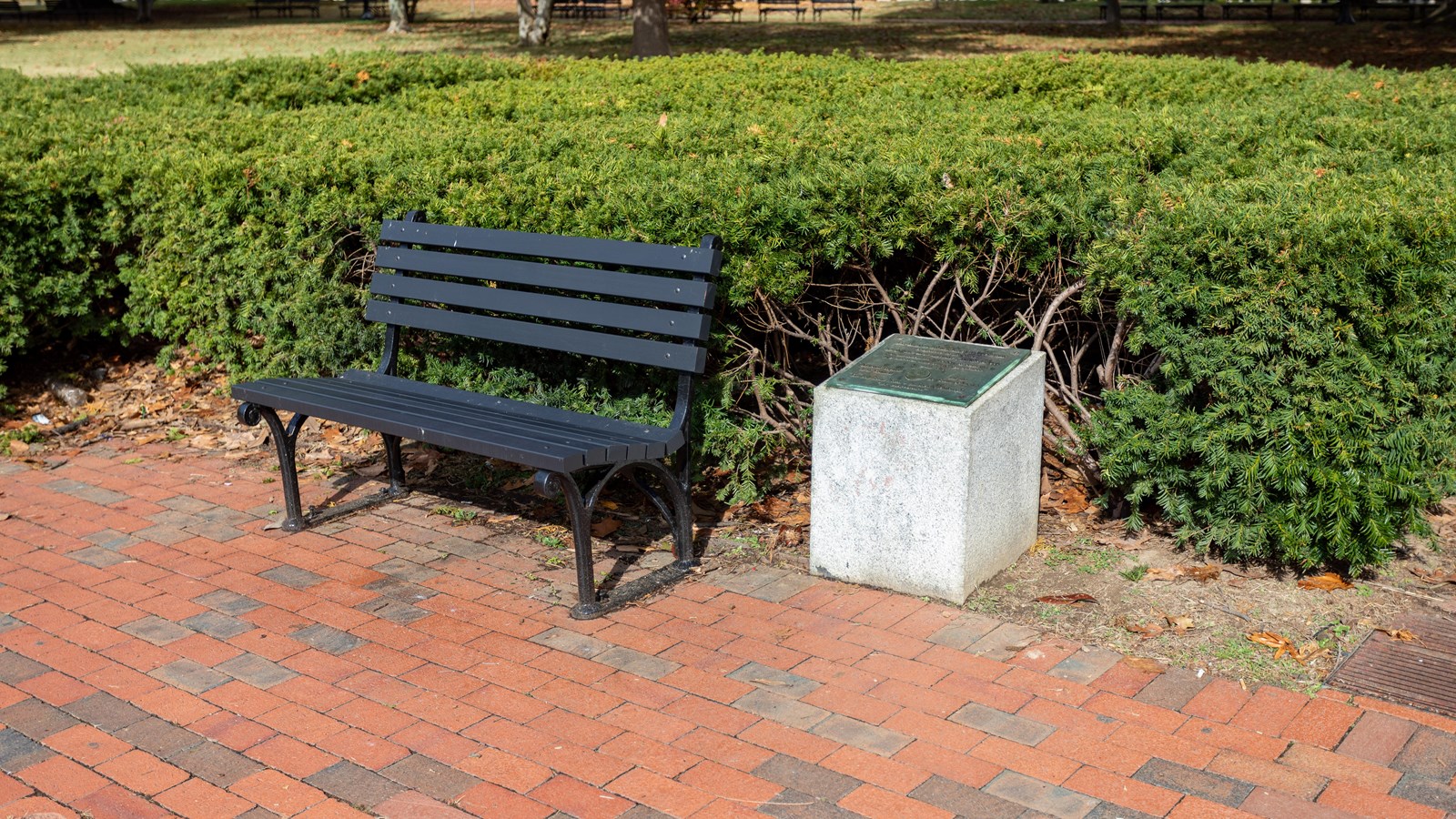 A plaque and bench in front of a row of bushes.