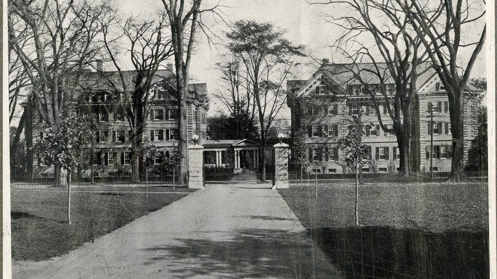 Black and white of path leading to buildings lined with grass and some trees but they\'re young