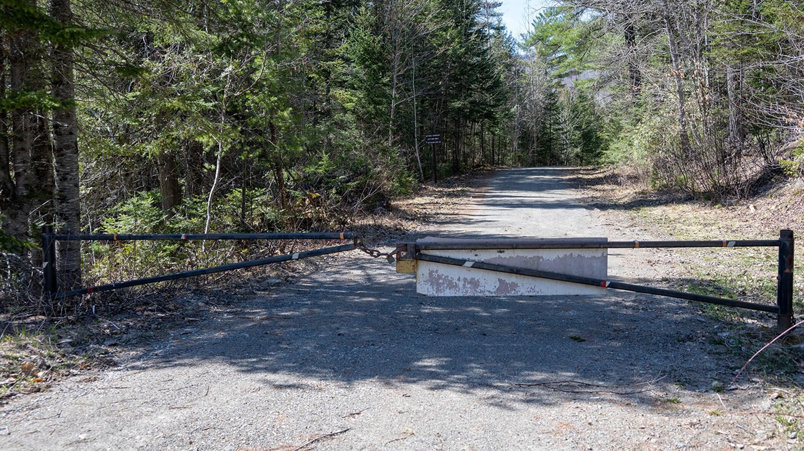 A large metal gate closed and locked across a gravel road in the woods.