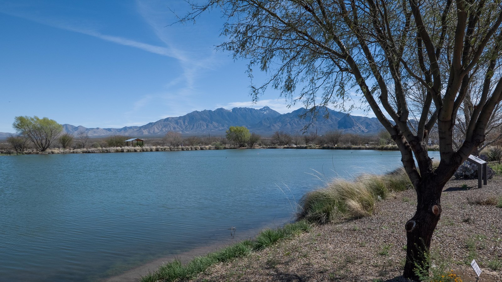 A blue lake is surrounded by trees and brush in front of mountains