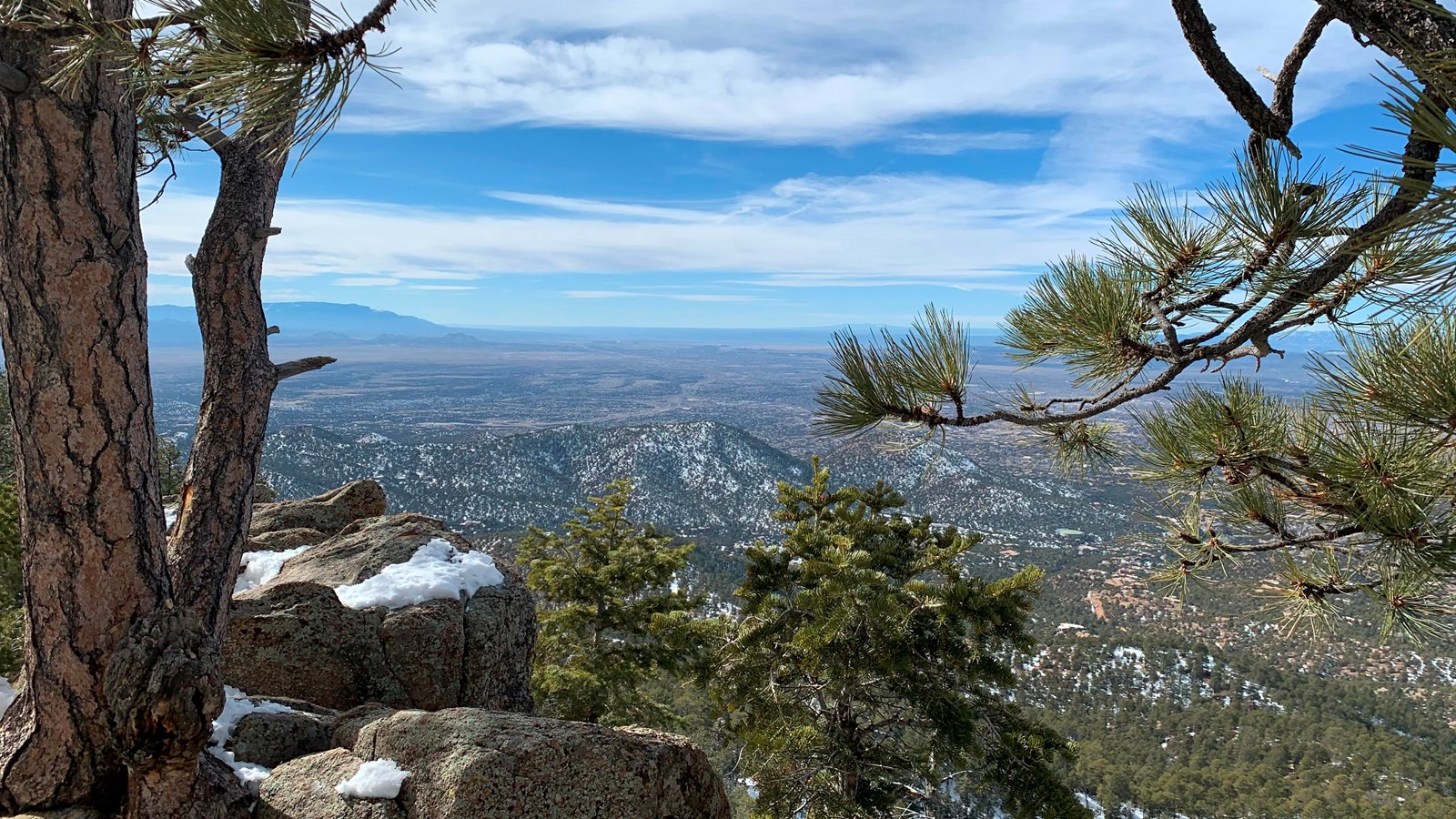 Looking through pine tree limbs, out onto an expansive landscape of forest leading down to desert.