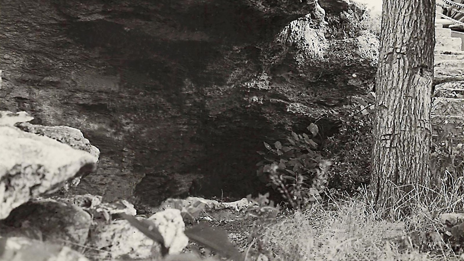 The dark hole leads down under the overhanging rock ledge. Just to the right a tree trunk is visible