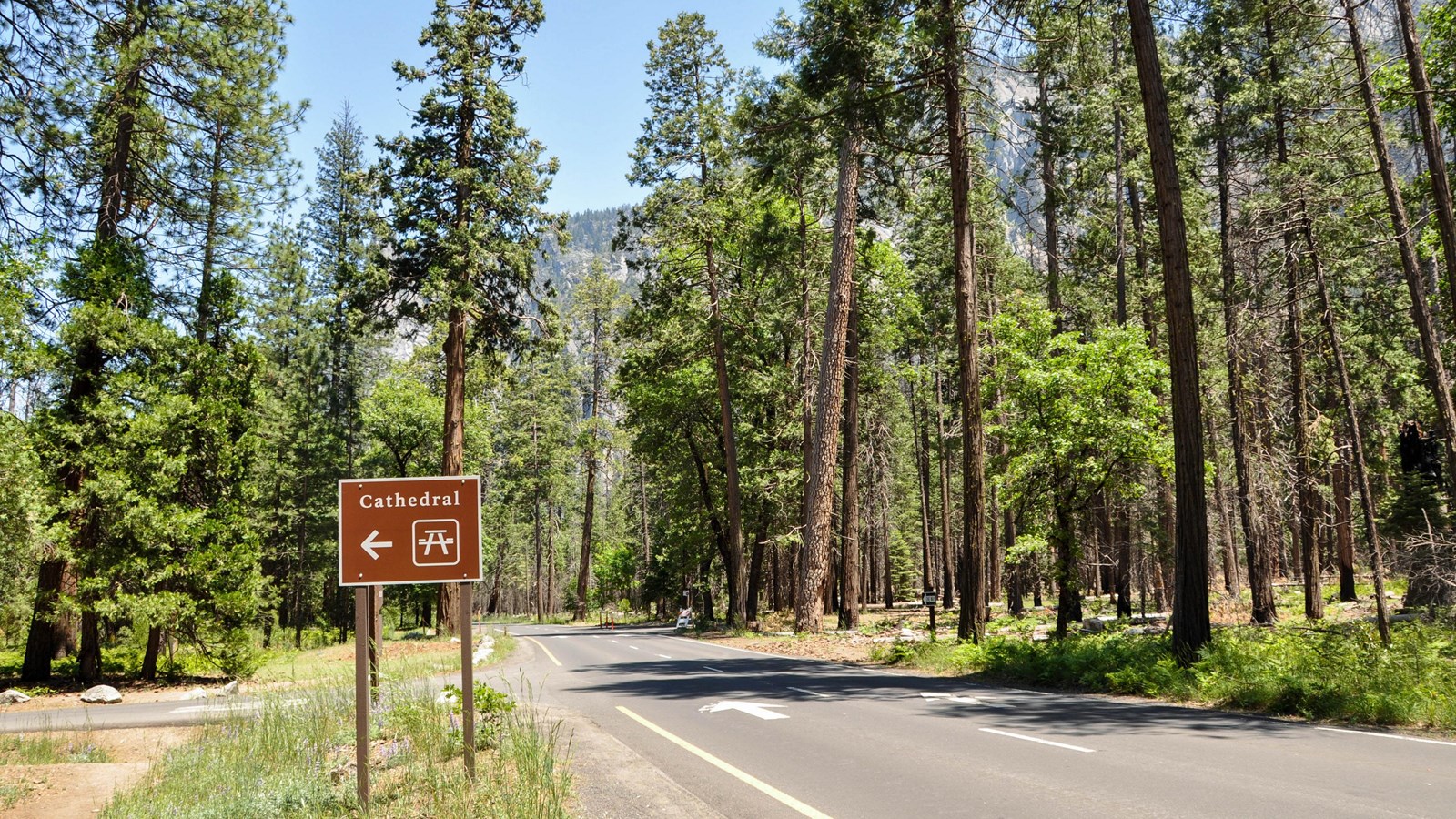 Southside Drive with picnic sign along the road