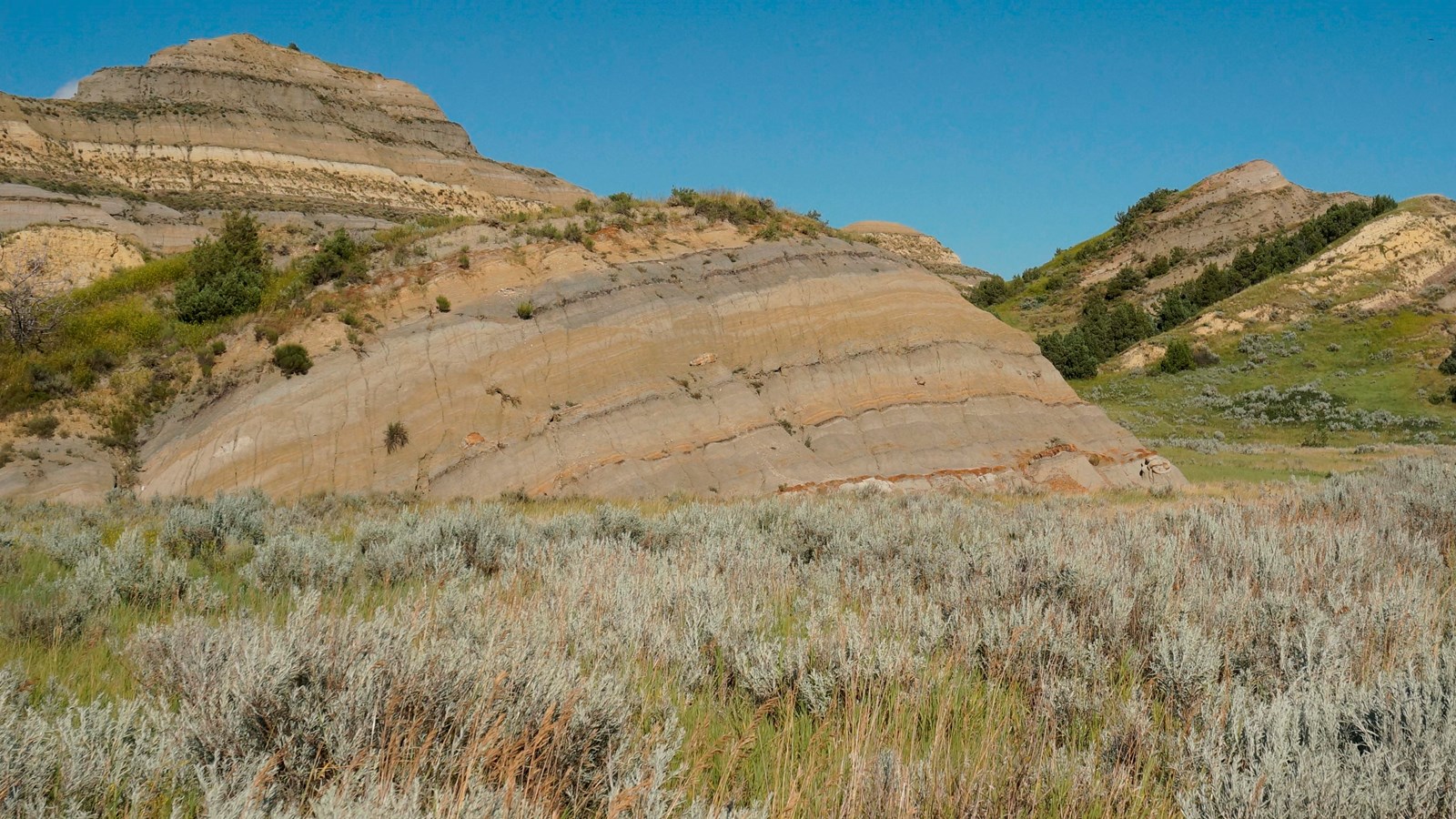 A butte slumps downward at an angle behind a grassy field.