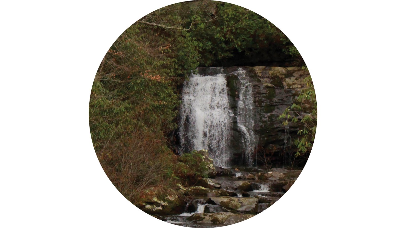A waterfall tucked back in the forest flowing into a stream