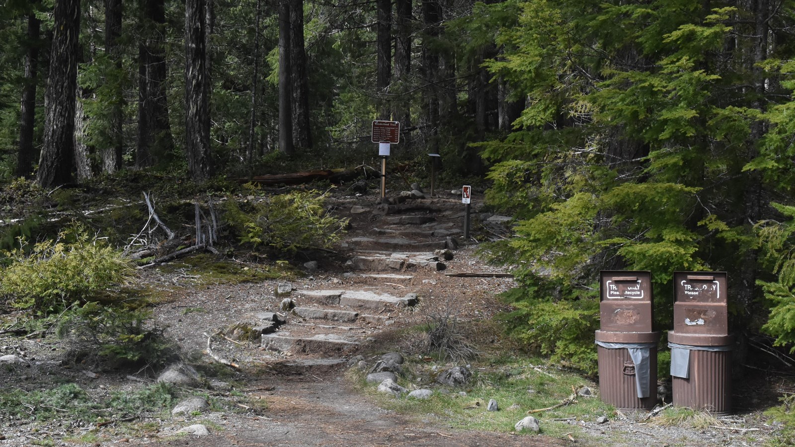 Stone steps lead into a trail through a dense stand of trees.