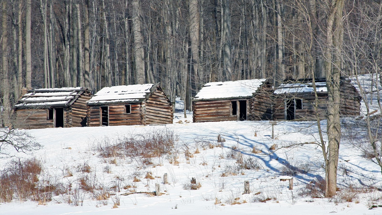 Four log huts covered in snow