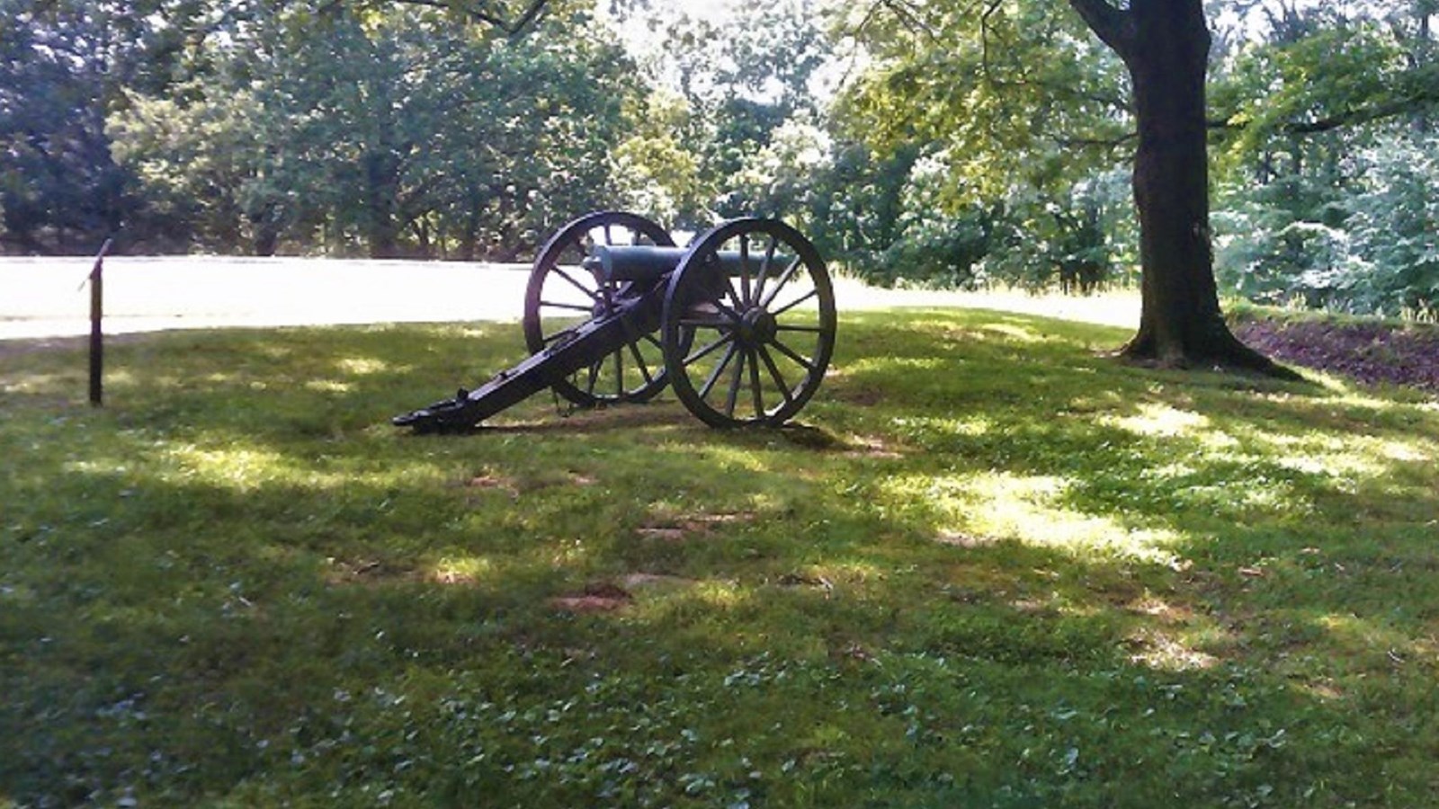 field cannon under tree