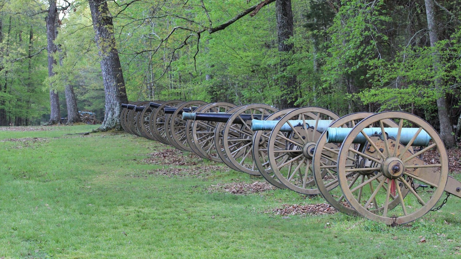 Dozens of cannon lined up on Duncan Field 