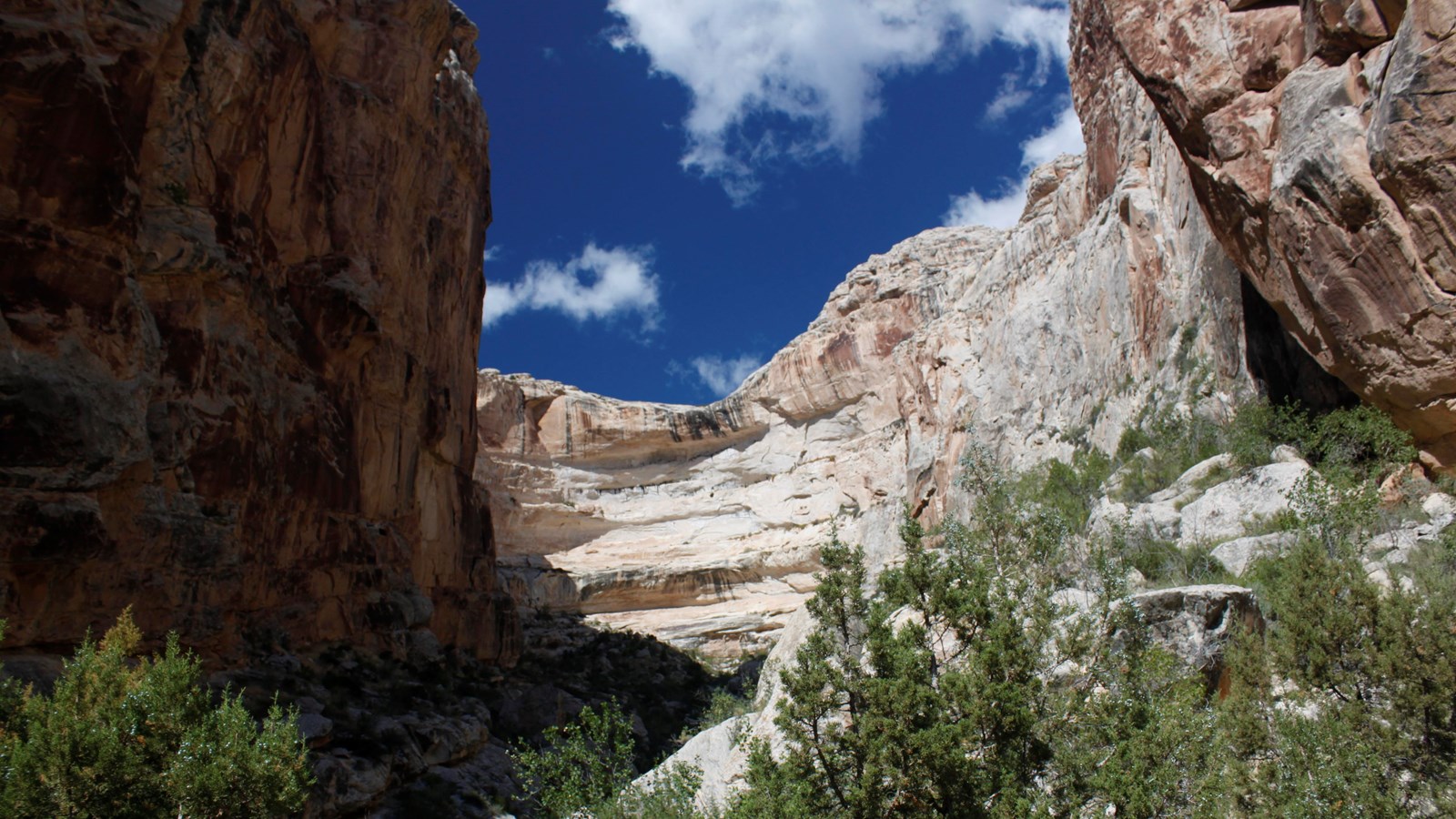 A small sandstone canyon with juniper trees growing inside.