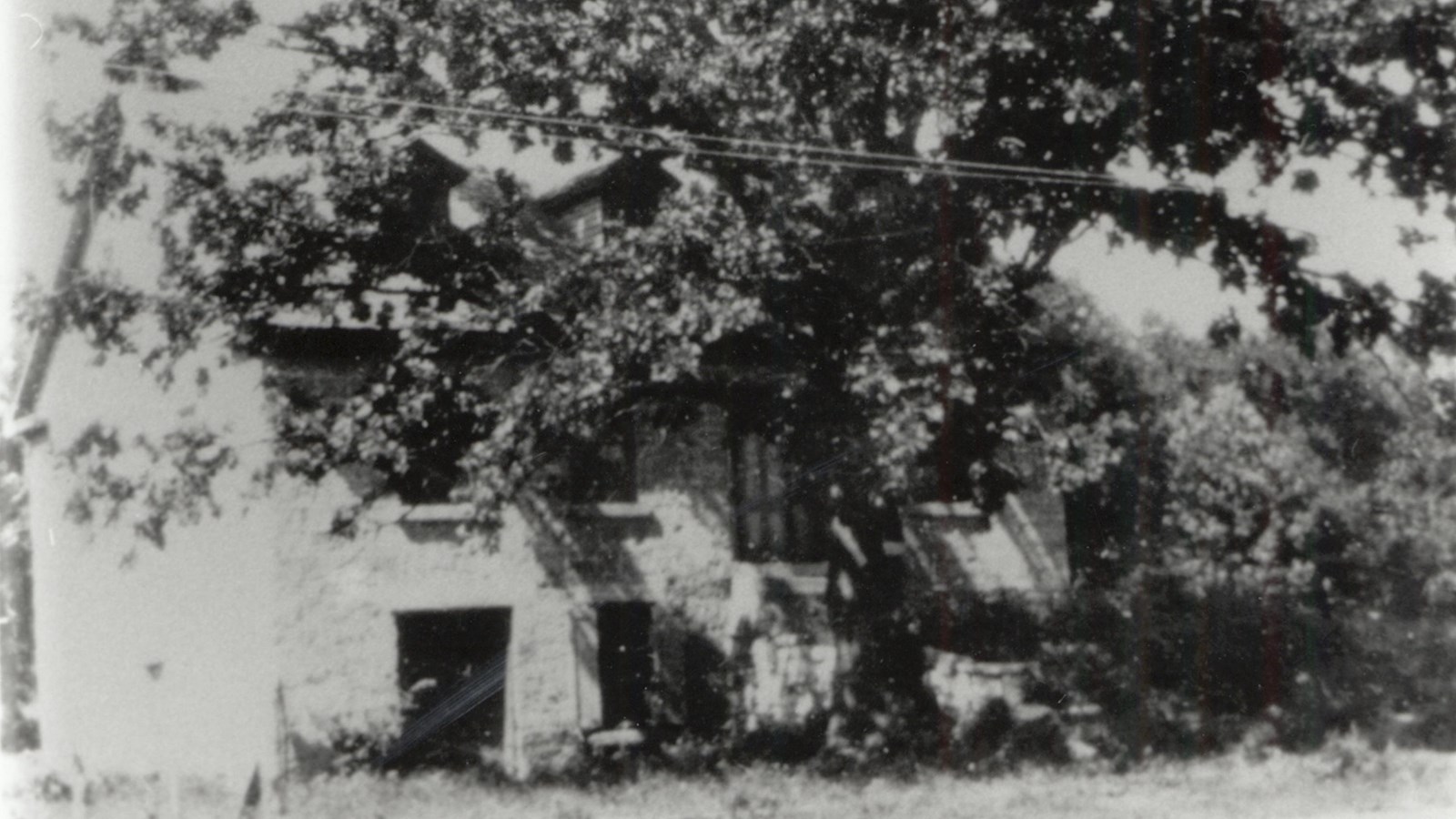A two-story building with a large tree masking most of its appearance.