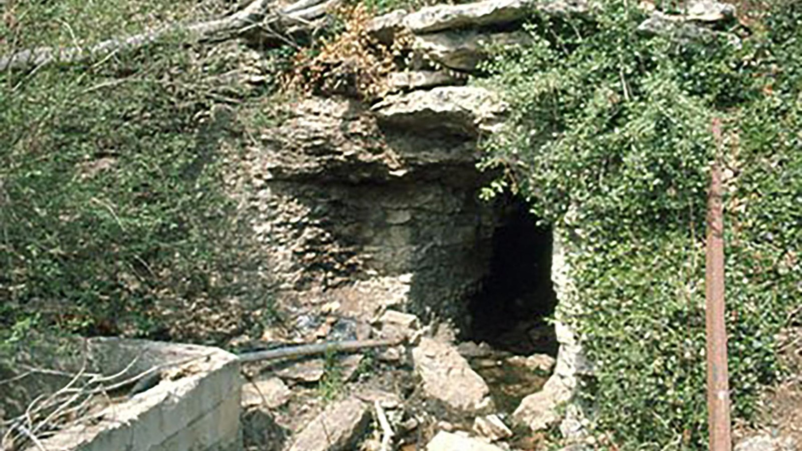 An opening into a rock face that is covered with ivy.