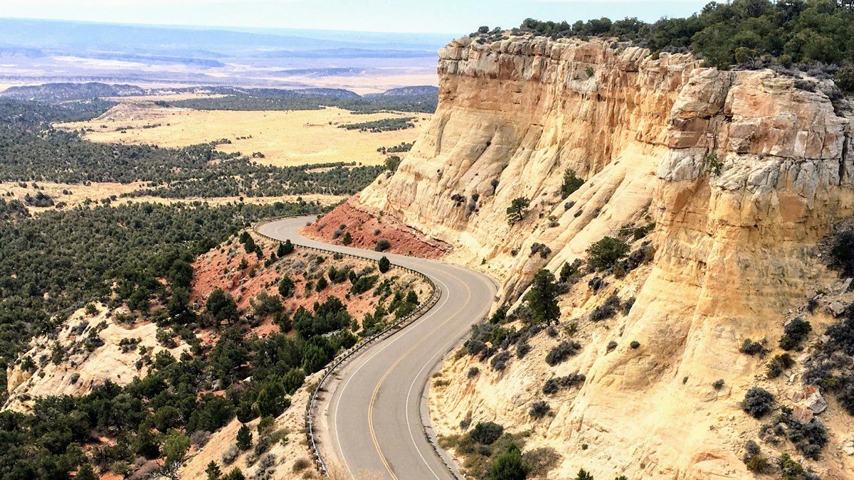 The paved Harpers Corner Road winds around yellow sandstone buttes dotted with desert shrubs.