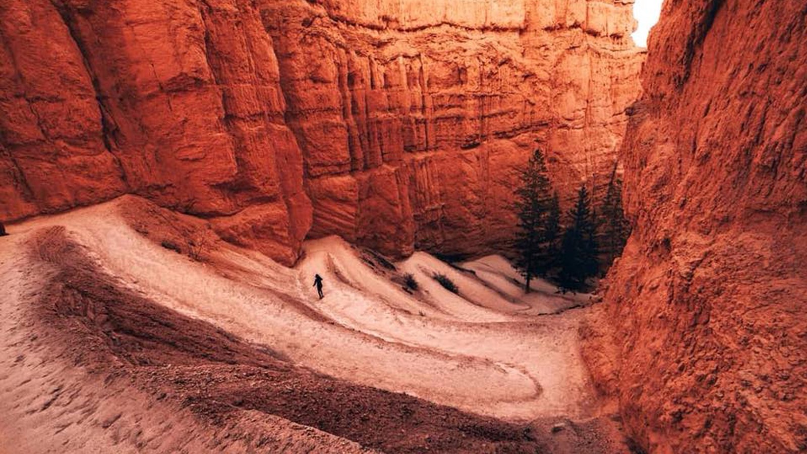 Switchbacks descend along a redrock trail between tall walls of rock and trees