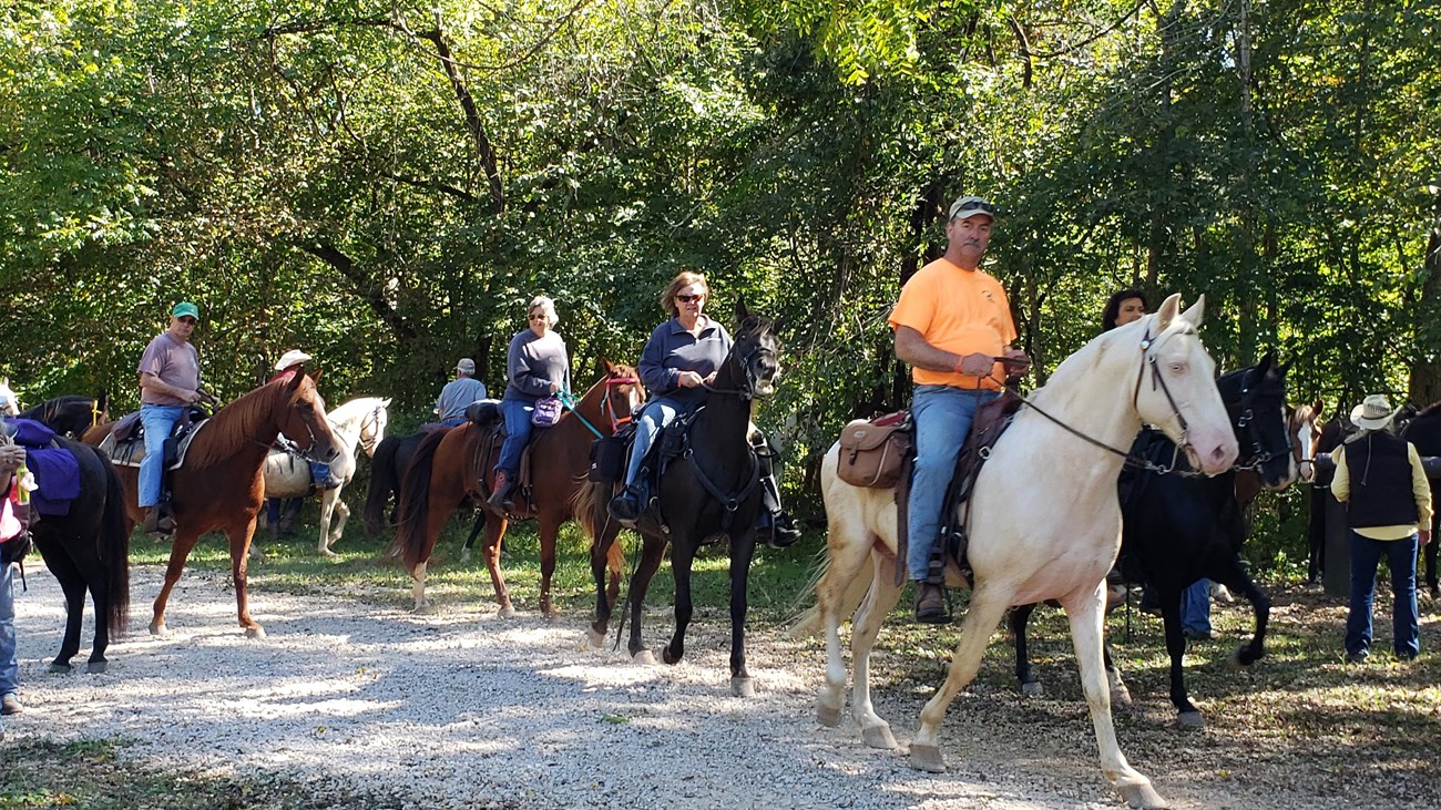 a group of horseback riders riding white, black and brown horses in casual clothing