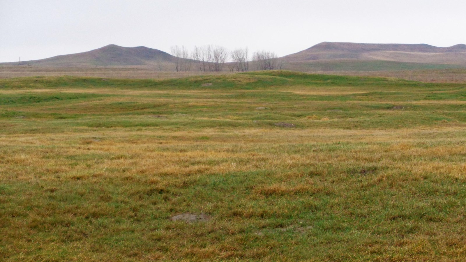 Grassy field with indentations for earthlodges