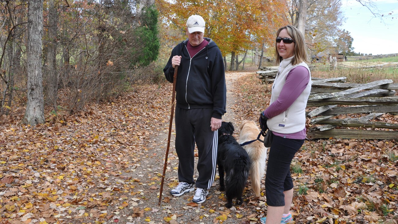 A man and a woman together with their dogs on a leash. 
