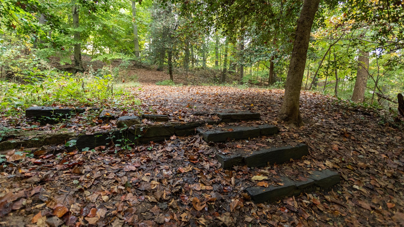 A stairway up to an outdoor amphitheater. 