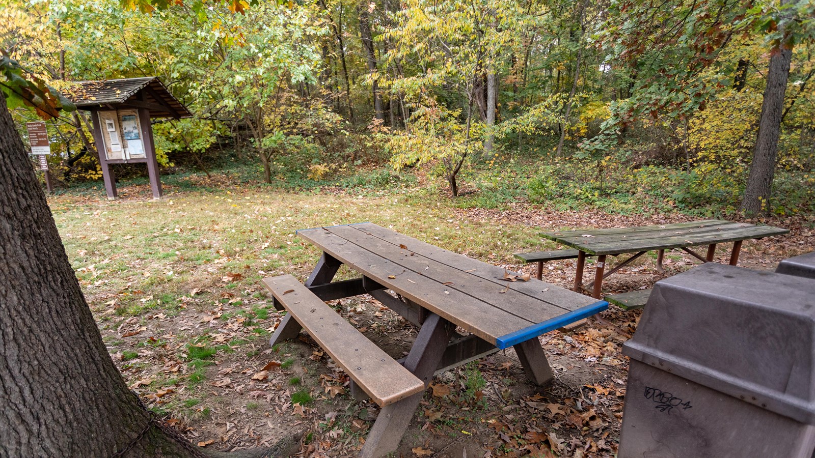 A picnic area in front of a grassy field in the woods.