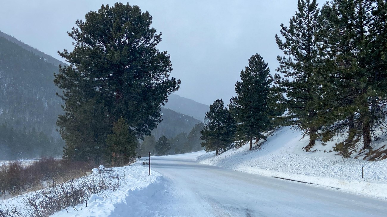 A park road is icy and snowpacked