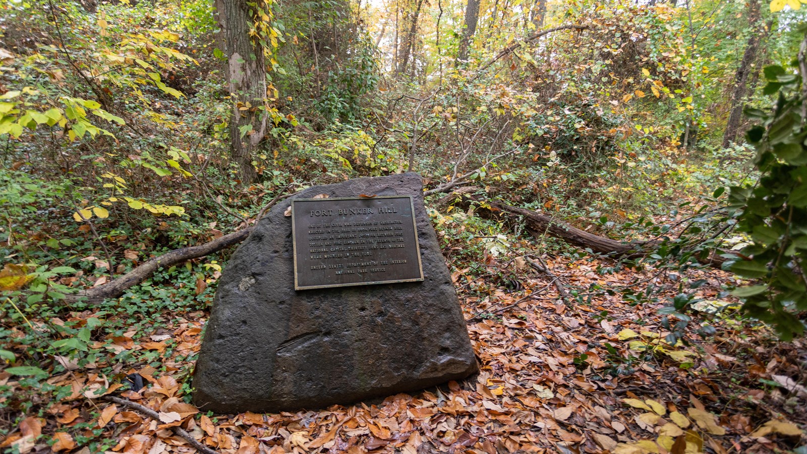 A plaque on a stone in the forest