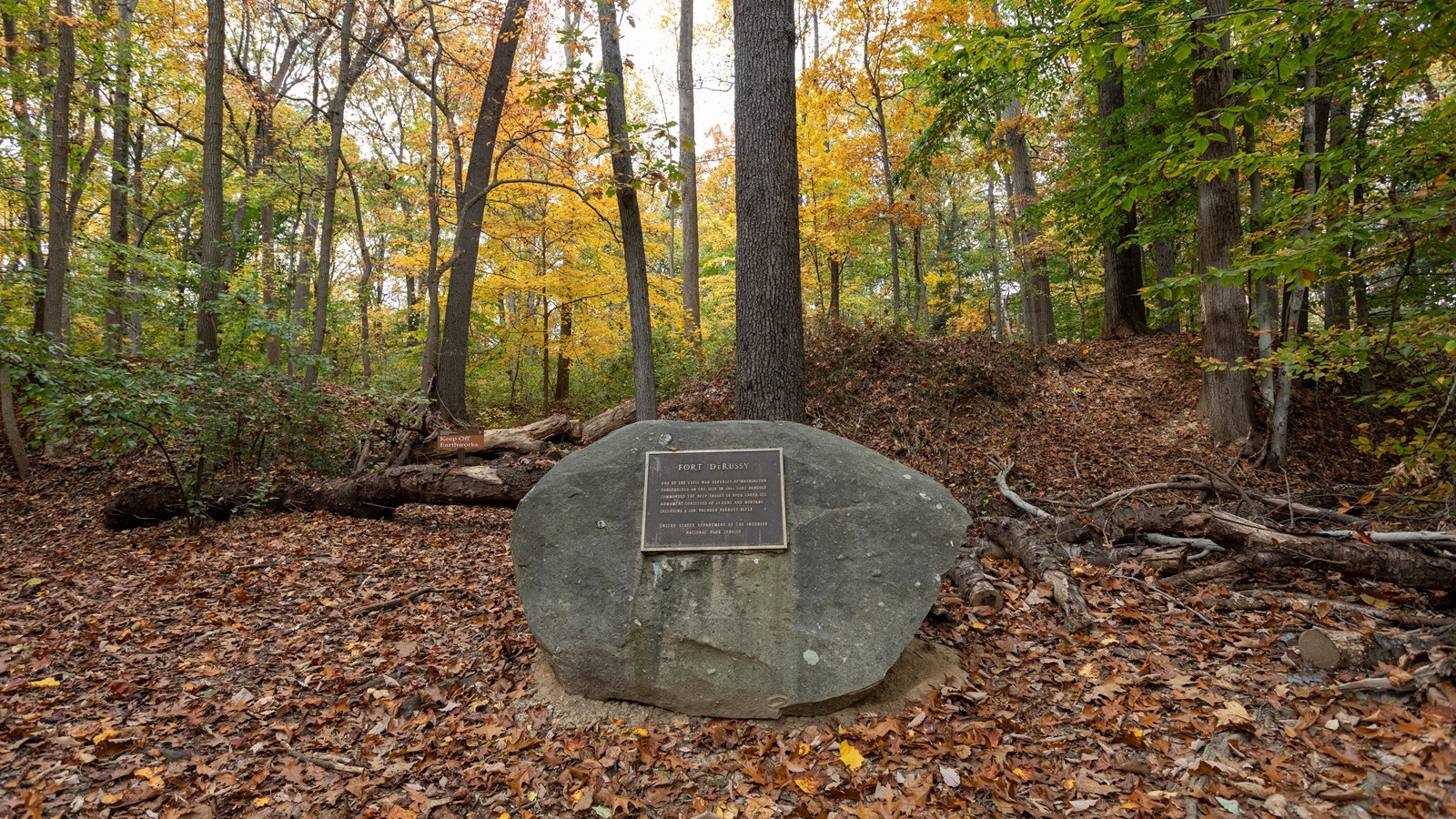 A large rock with a bronze plaque on it in a forest. 