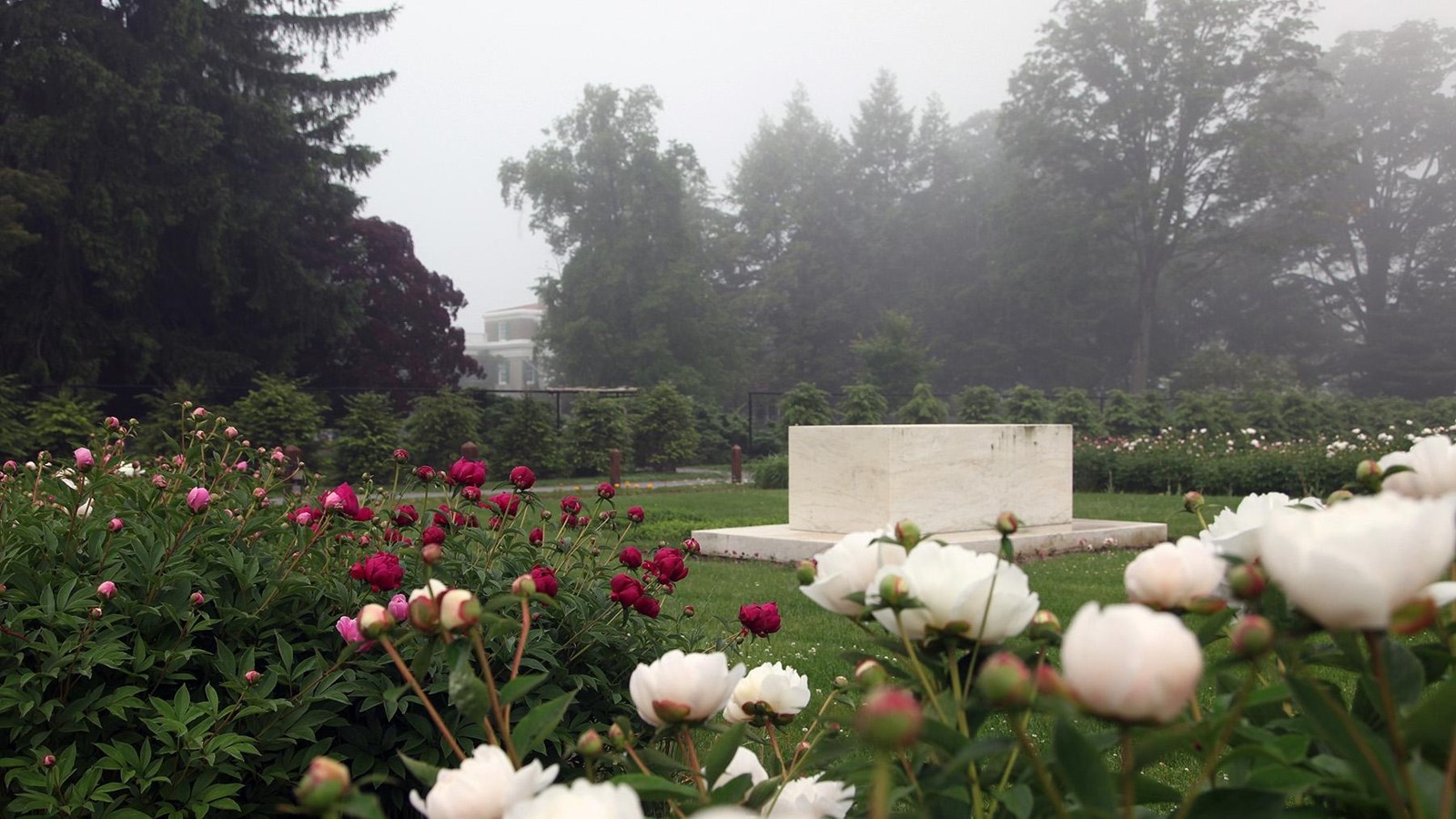 A simple, large block of white marble on a green lawn, surrounded by peonies and roses.