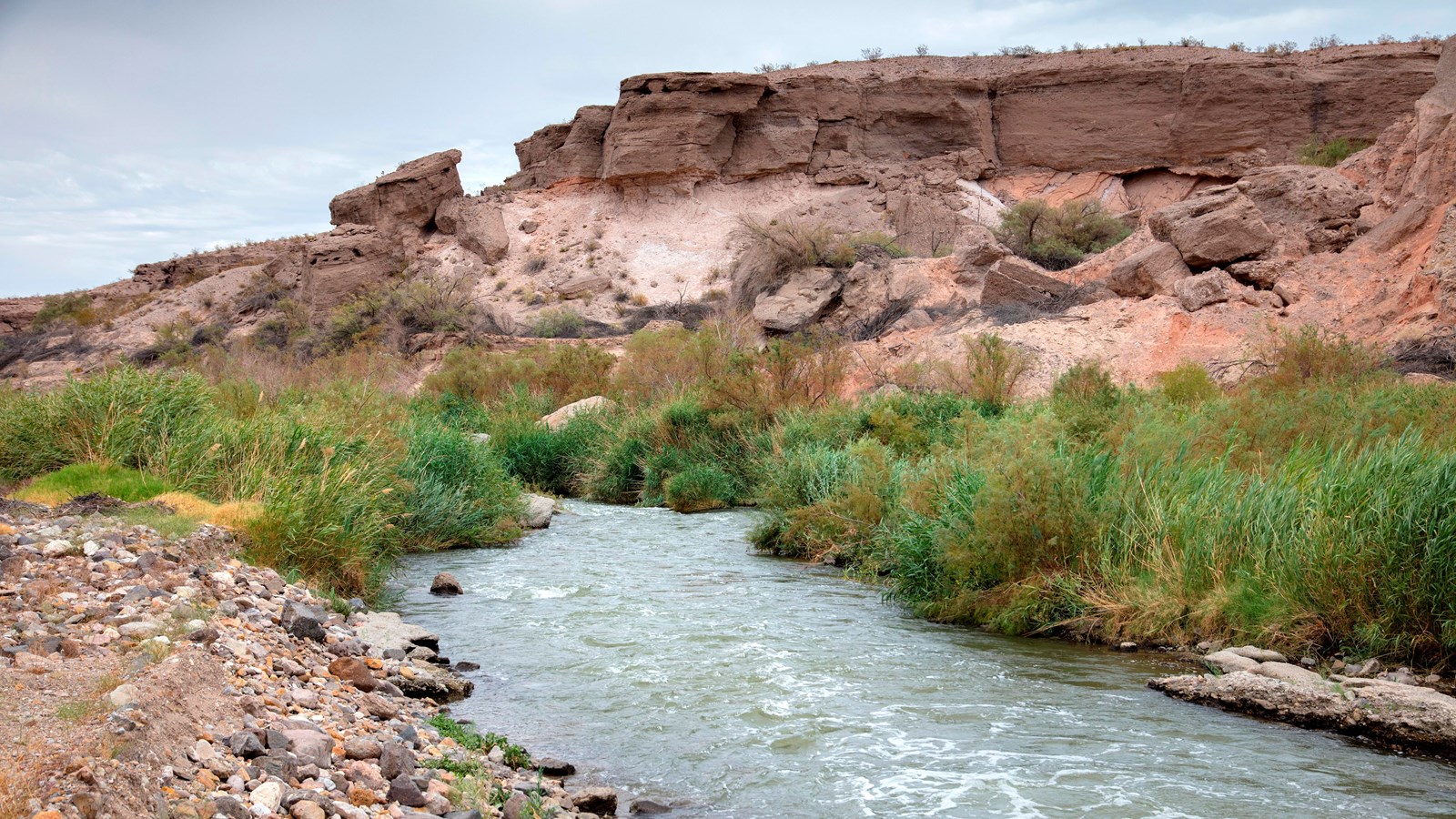 Winding river through desert vegetation. 