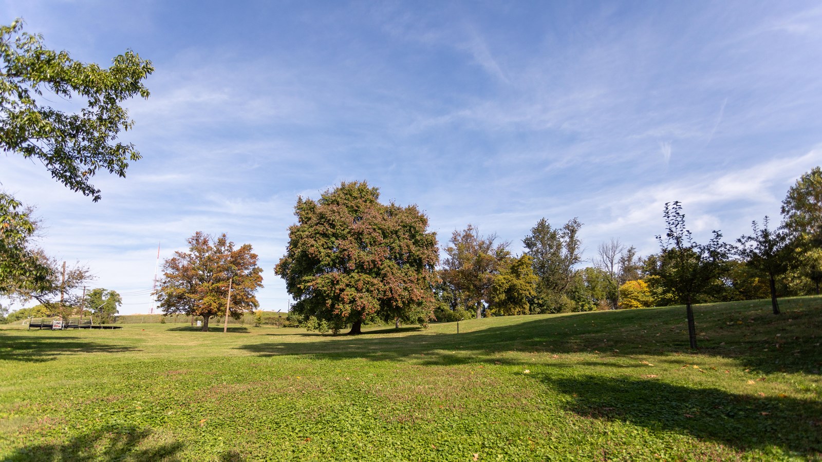 A large grassy field surrounded by trees. 