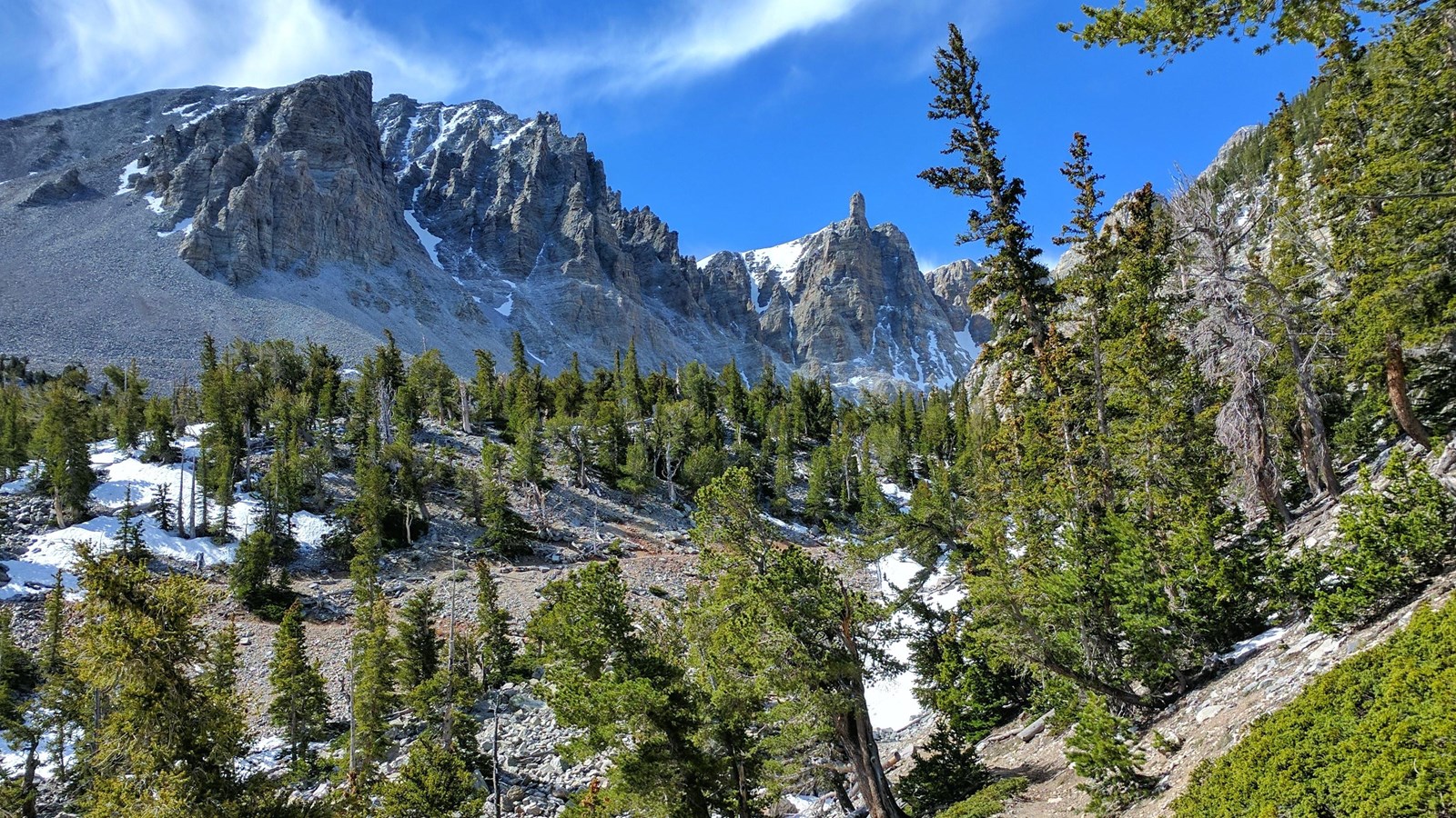 Grey rock with pine trees growing throughout and Doso Doyabi in the background