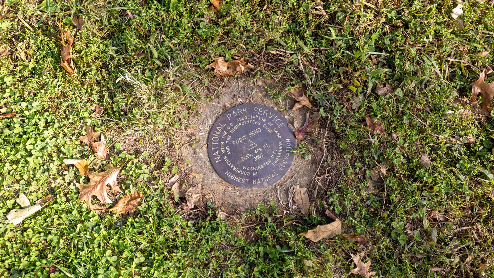 A circular plaque on the ground.