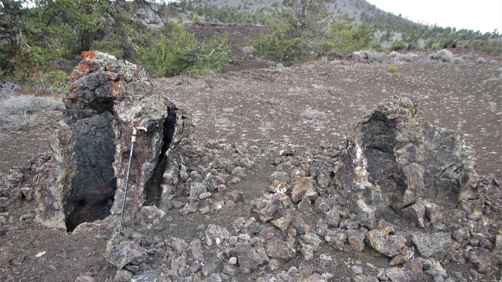 two masses of rock with vertical impressions of tree trunks in the center. a hiking pole shows scale