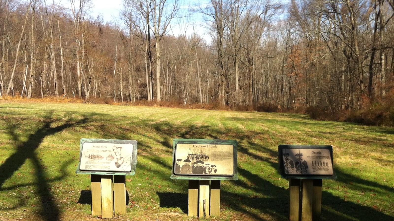 A meadow clearing surrounded by forest next to the tour road with three wayside exhibit panels