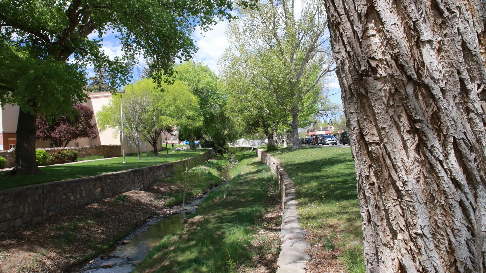 Green grass next to a small creek, with a rock wall.