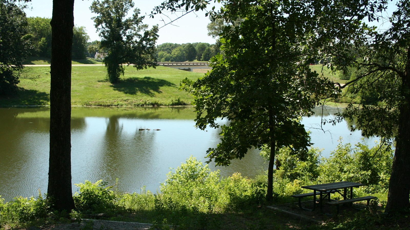 A picnic table at a pond surrounded by trees.