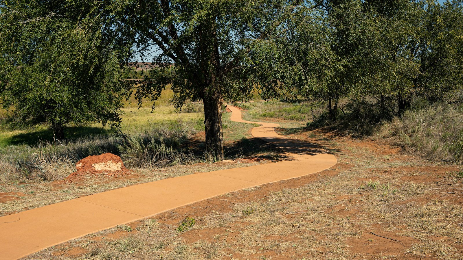 A paved path winding down a hill through some trees.