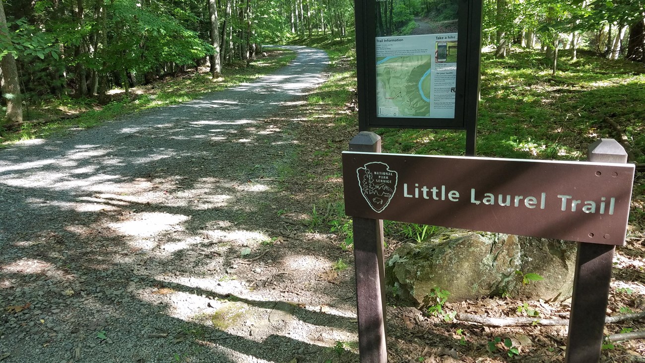 View of the beginning of the Little Laurel Trail from the Grandview location. The trail is wooded.