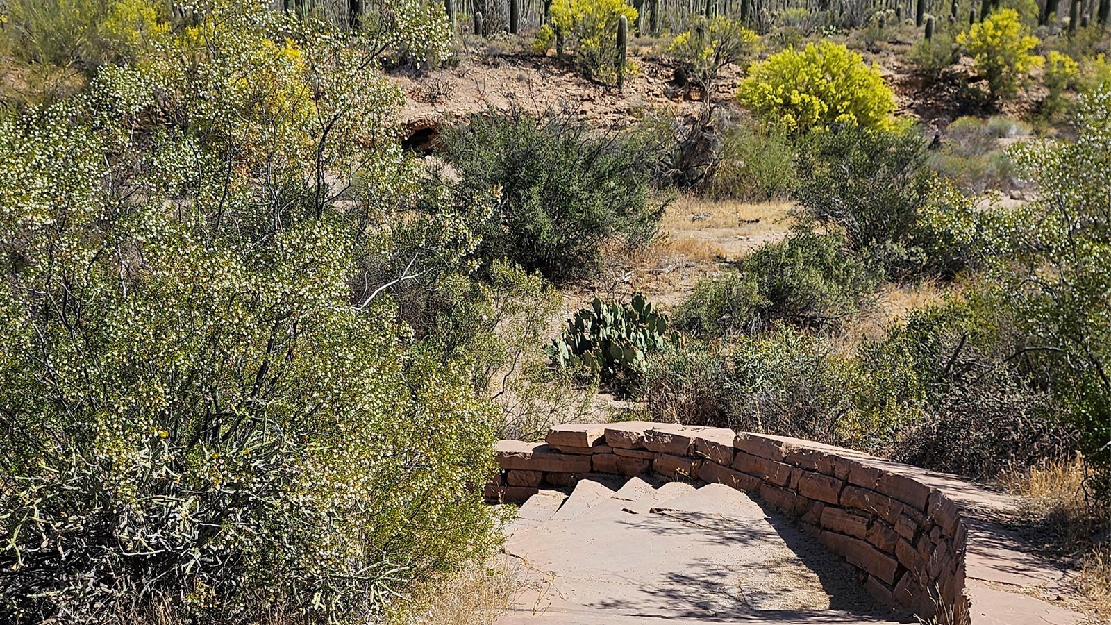 Sandstone steps lead down & to the left, extending into a vegetated dry riverbed.