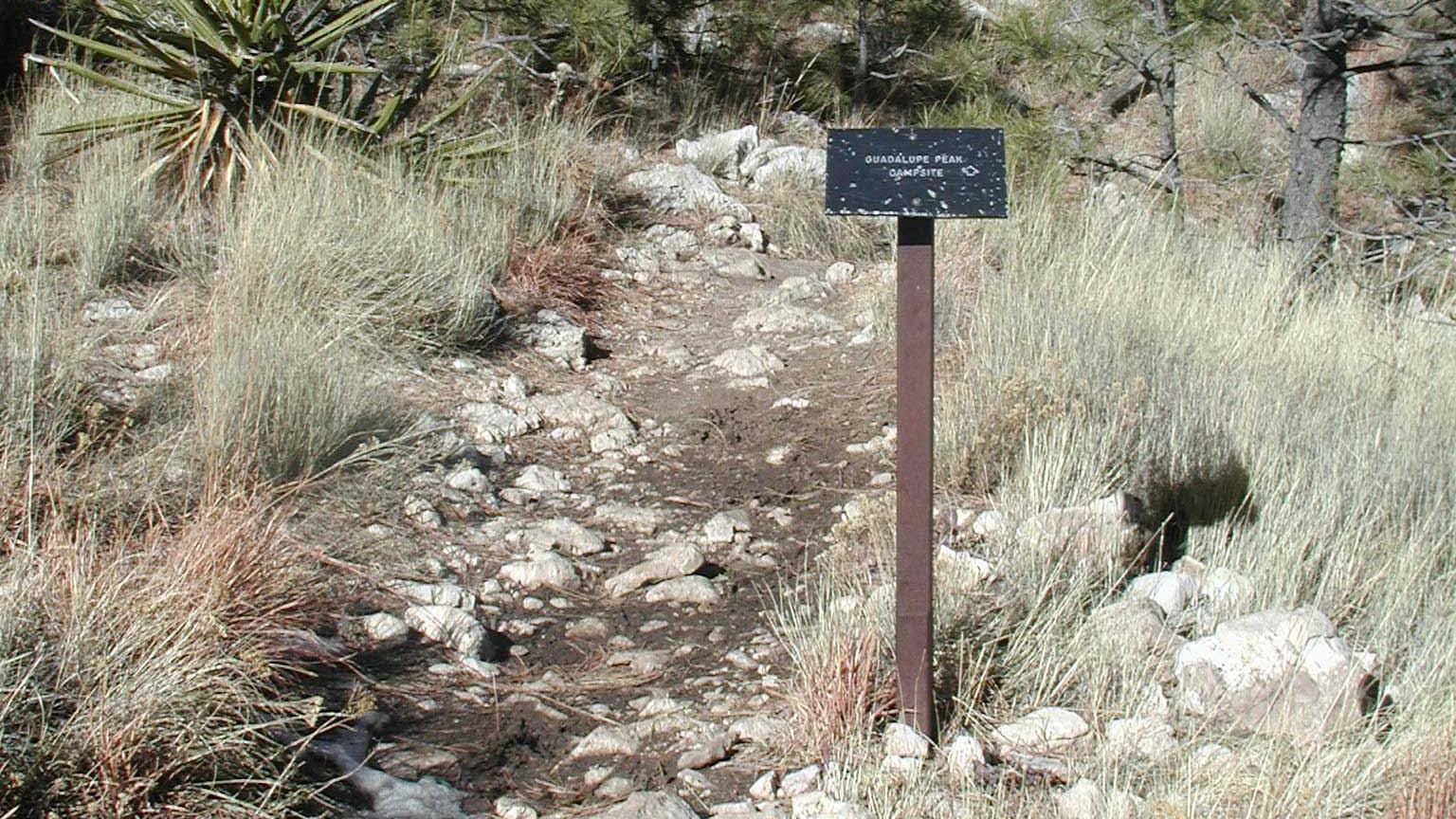 A trail junction with a metal sign