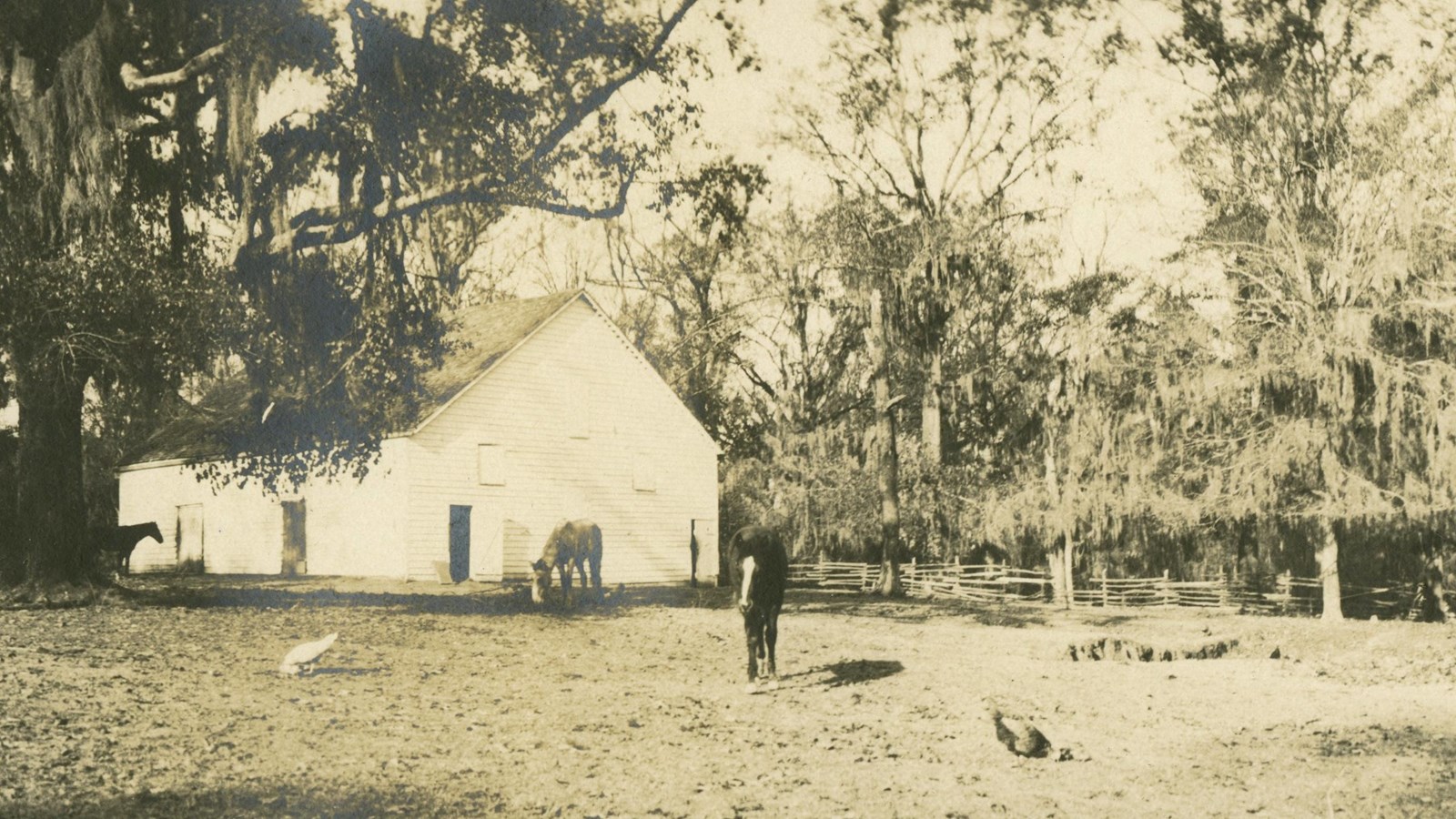 Wood building with wood shingle roof