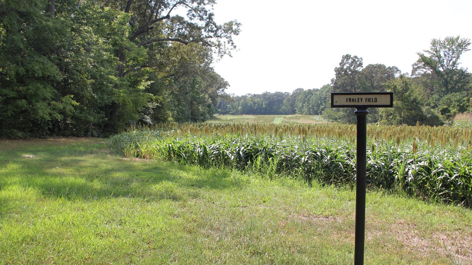 A picture of an open field with a cast iron sign post. 