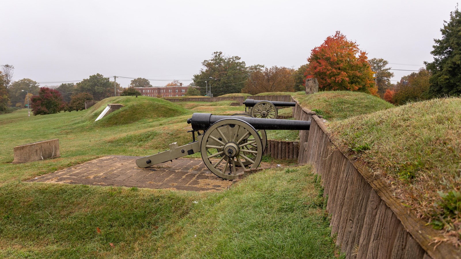 Two canons in a field next to a fence