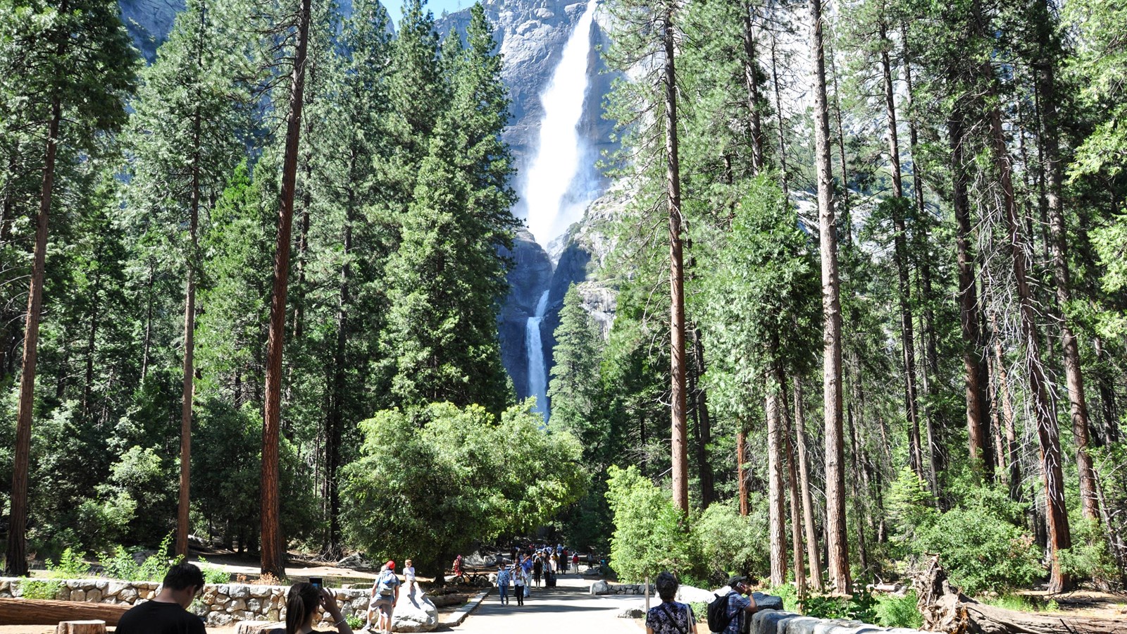 Visitors viewing Yosemite Falls from the trailhead with a full waterfall in the background.