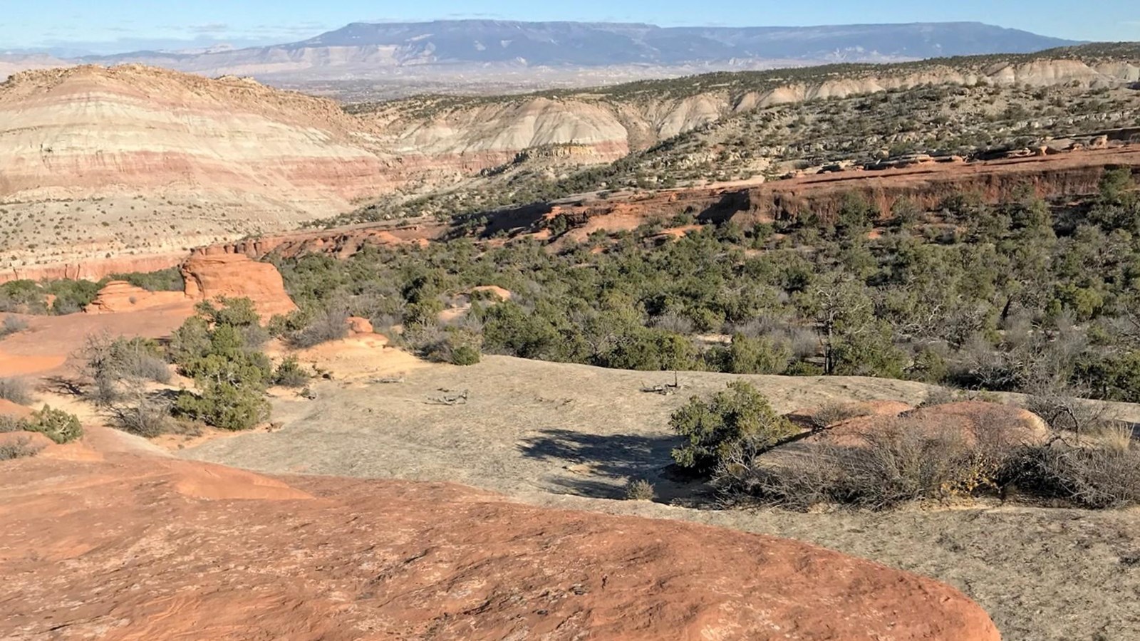 red orange sandstone flats overlook forested canyons