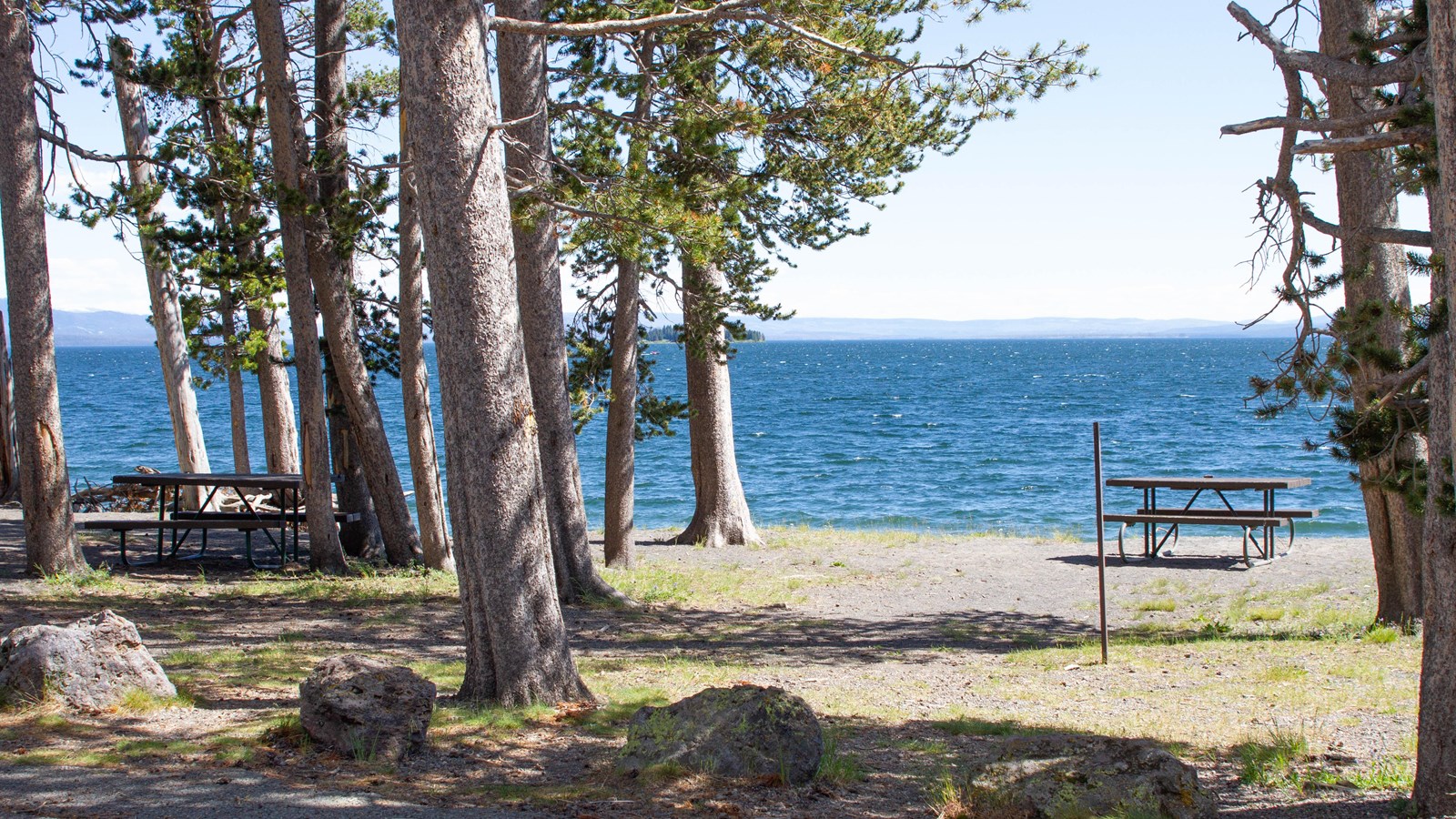 Picnic tables in a forested area near the shore of a large lake