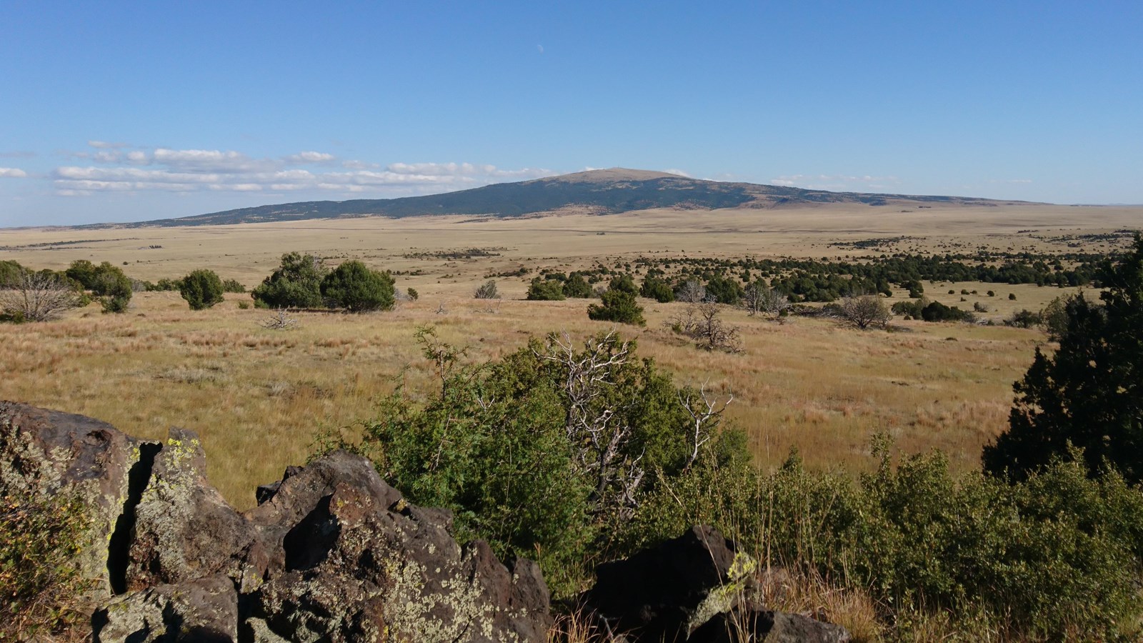 View of Sierra Grande Volcano in the distance behind a sea of prairie grass