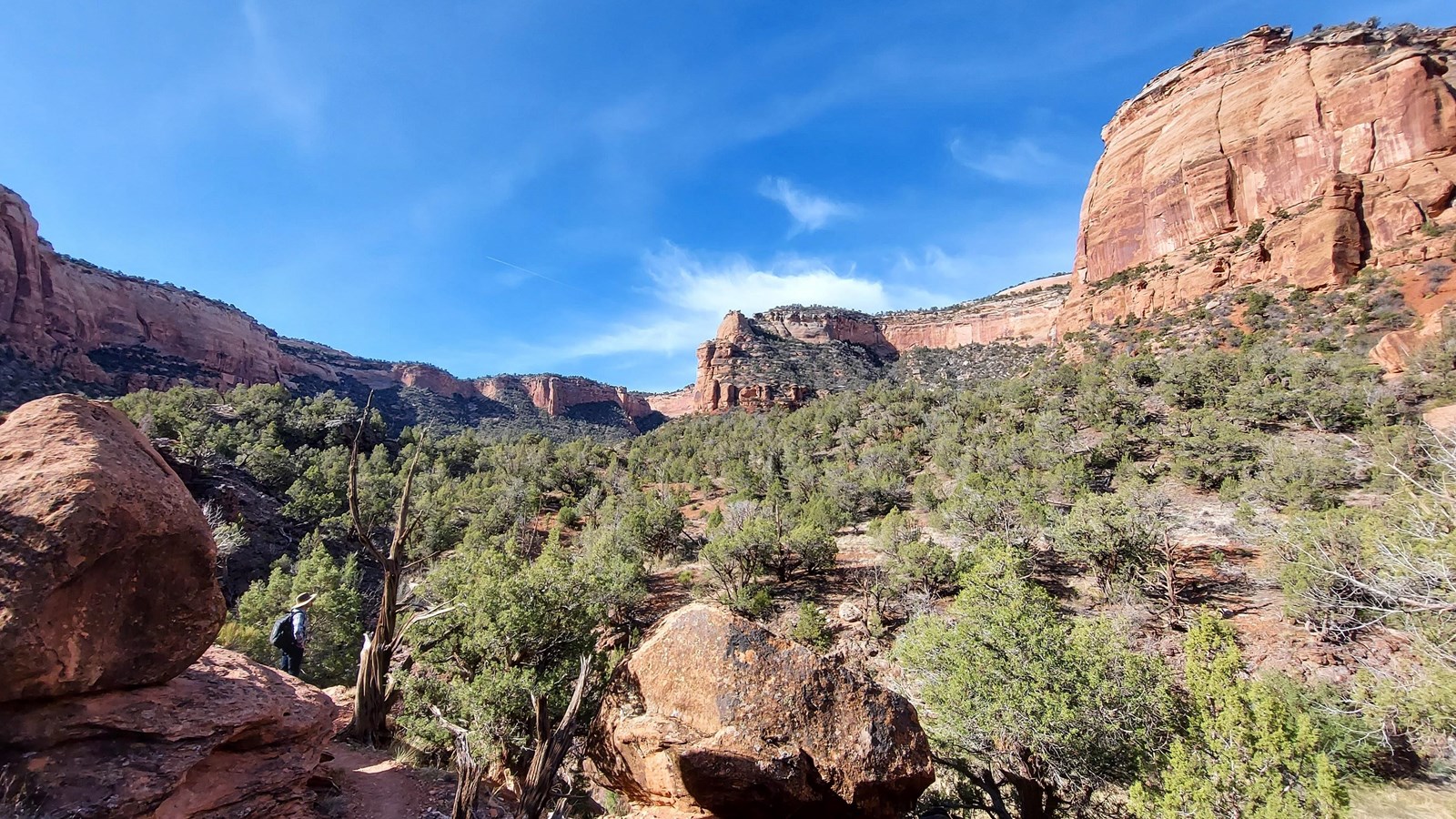 craggy black rock in forested canyon bottoms below towering red-orange sandstone cliffs
