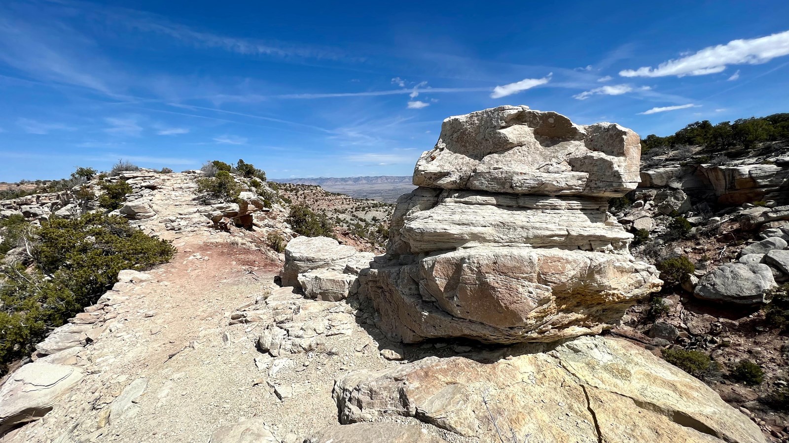 white sandstone trail and rocks framed by green desert forests