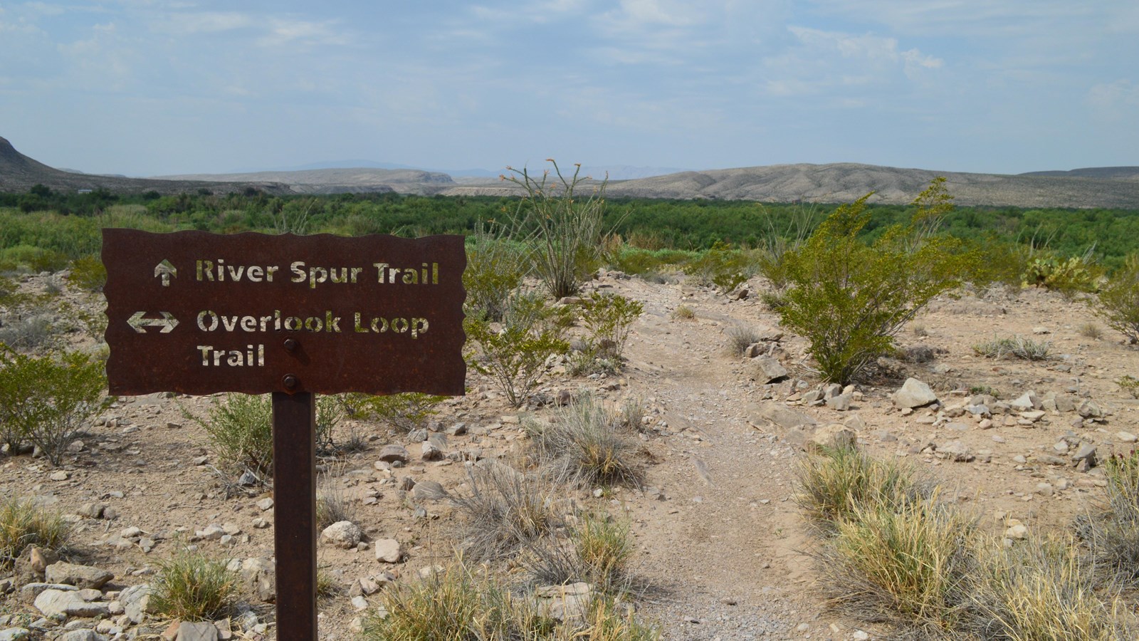 A brown metal sign with trail directions carved into it sits at a trail junction.