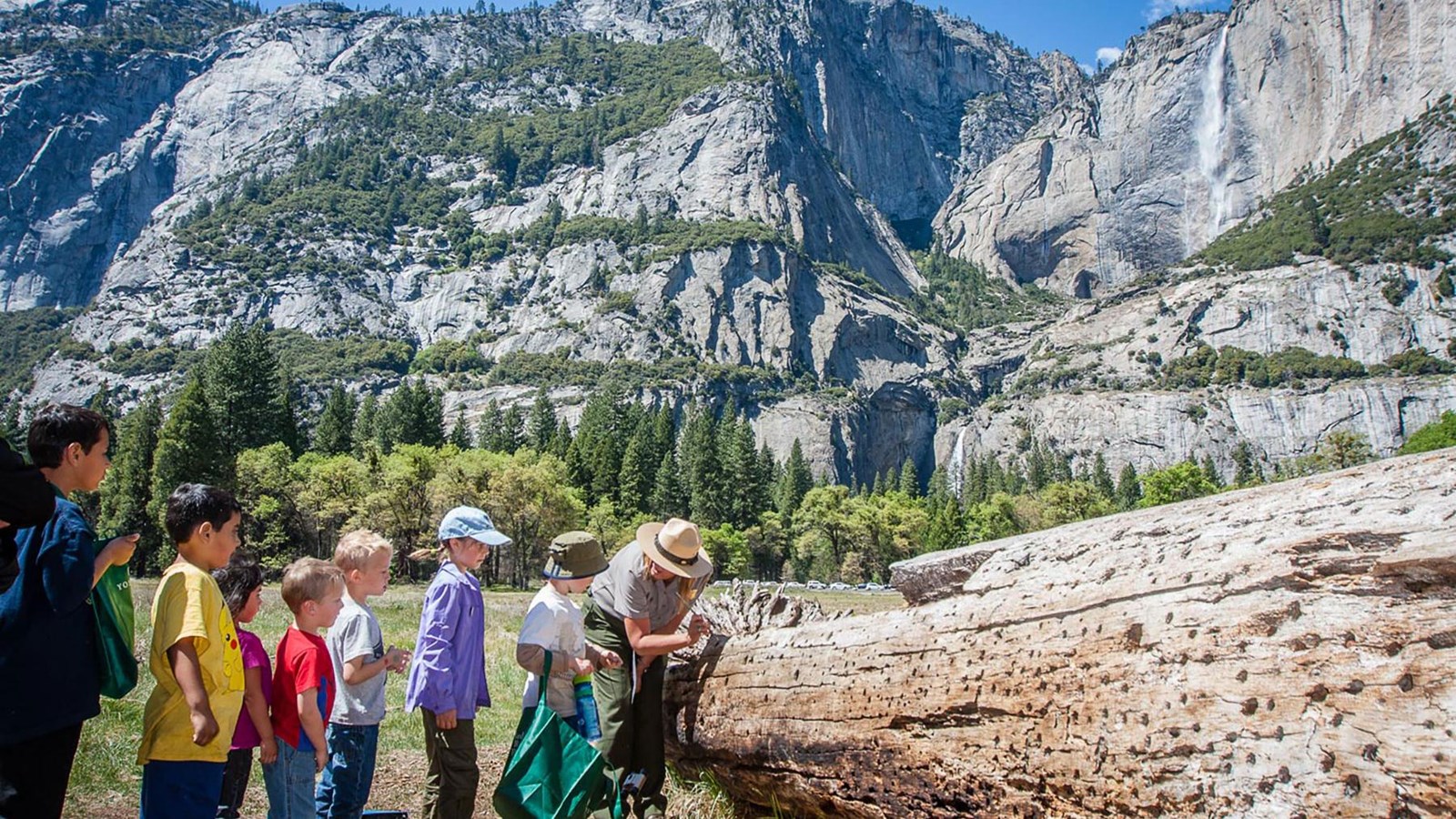 Ranger and junior rangers during a program in the meadow looking at a log, Yosemite Falls in back.